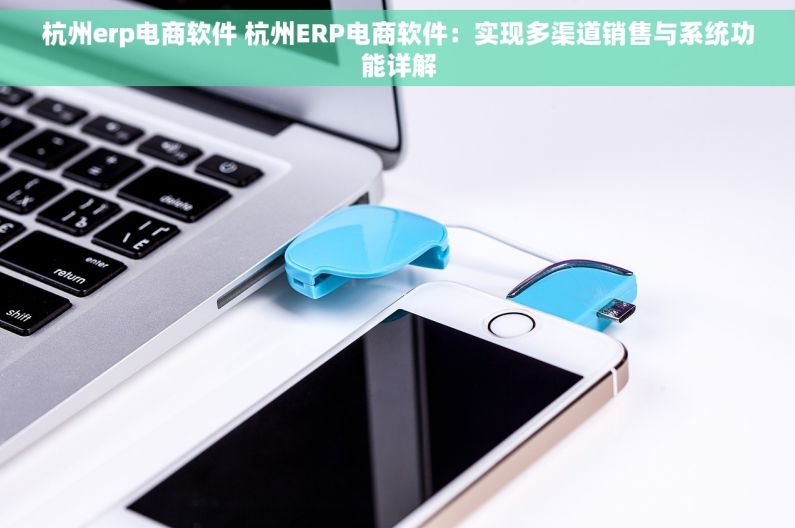 杭州erp电商软件 杭州ERP电商软件：实现多渠道销售与系统功能详解