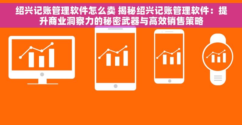 绍兴记账管理软件怎么卖 揭秘绍兴记账管理软件：提升商业洞察力的秘密武器与高效销售策略