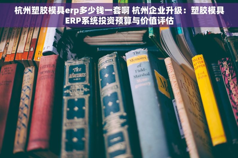 杭州塑胶模具erp多少钱一套啊 杭州企业升级：塑胶模具ERP系统投资预算与价值评估