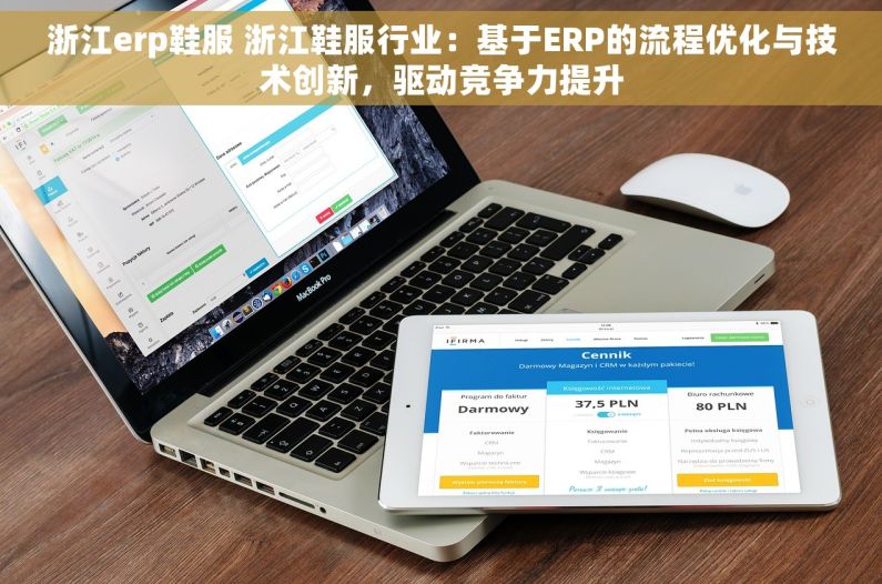 浙江erp鞋服 浙江鞋服行业：基于ERP的流程优化与技术创新，驱动竞争力提升