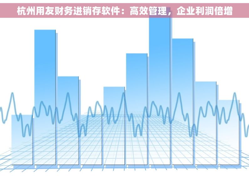 杭州用友财务进销存软件：高效管理，企业利润倍增