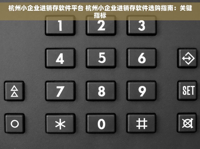 杭州小企业进销存软件平台 杭州小企业进销存软件选购指南：关键指标