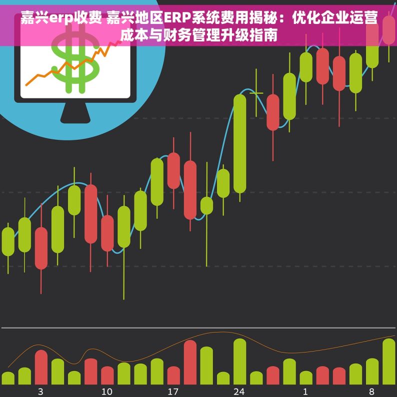 嘉兴erp收费 嘉兴地区ERP系统费用揭秘：优化企业运营成本与财务管理升级指南