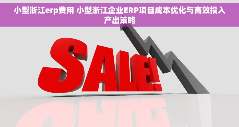 小型浙江erp费用 小型浙江企业ERP项目成本优化与高效投入产出策略