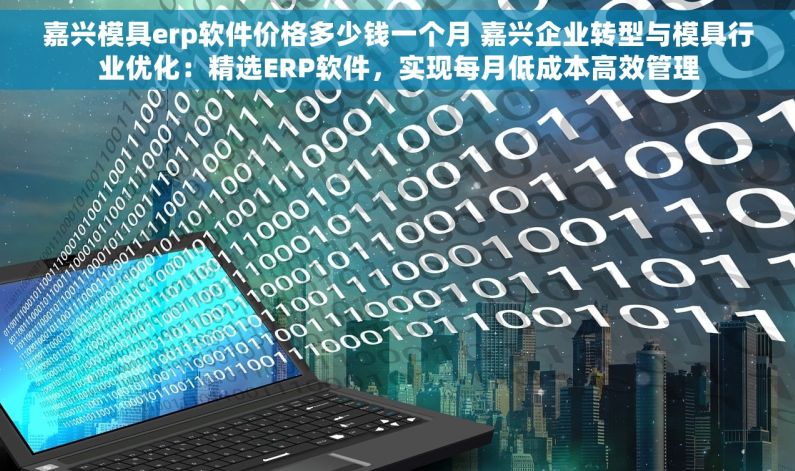 嘉兴模具erp软件价格多少钱一个月 嘉兴企业转型与模具行业优化：精选ERP软件，实现每月低成本高效管理