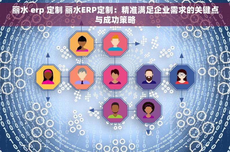 丽水 erp 定制 丽水ERP定制：精准满足企业需求的关键点与成功策略