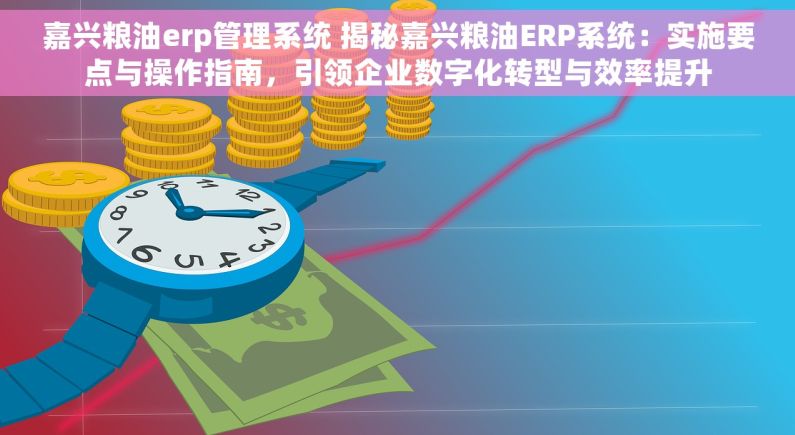 嘉兴粮油erp管理系统 揭秘嘉兴粮油ERP系统：实施要点与操作指南，引领企业数字化转型与效率提升