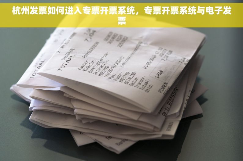 杭州发票如何进入专票开票系统，专票开票系统与电子发票