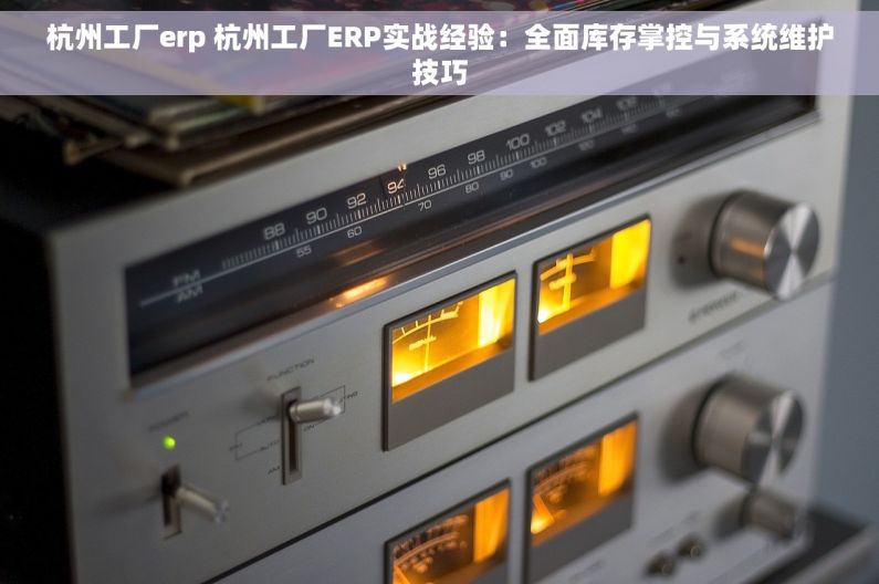杭州工厂erp 杭州工厂ERP实战经验：全面库存掌控与系统维护技巧