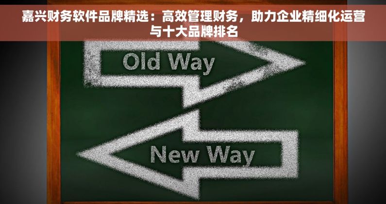 嘉兴财务软件品牌精选：高效管理财务，助力企业精细化运营与十大品牌排名
