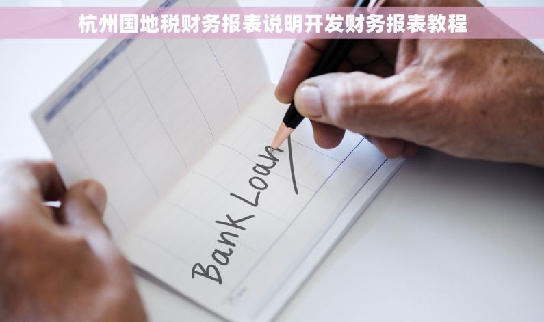 杭州国地税财务报表说明开发财务报表教程