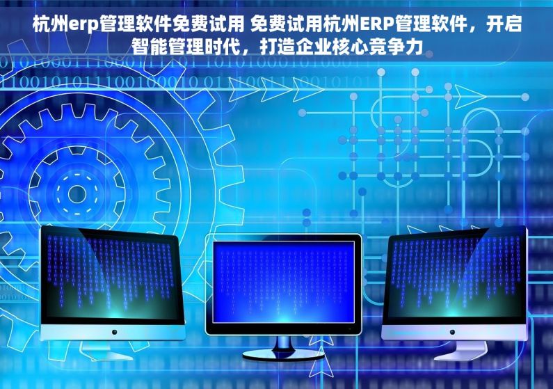 杭州erp管理软件免费试用 免费试用杭州ERP管理软件，开启智能管理时代，打造企业核心竞争力