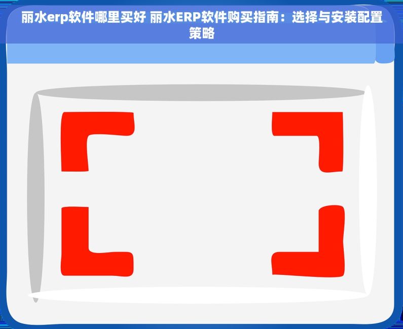 丽水erp软件哪里买好 丽水ERP软件购买指南：选择与安装配置策略