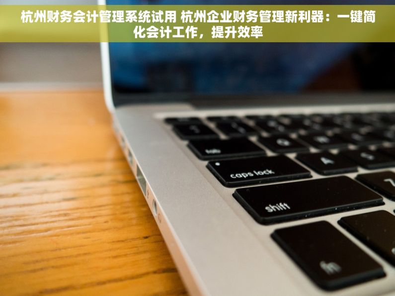 杭州财务会计管理系统试用 杭州企业财务管理新利器：一键简化会计工作，提升效率