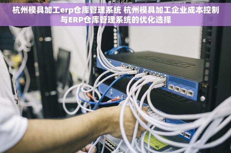 杭州模具加工erp仓库管理系统 杭州模具加工企业成本控制与ERP仓库管理系统的优化选择