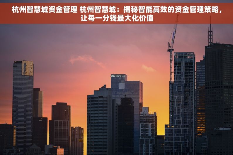 杭州智慧城资金管理 杭州智慧城：揭秘智能高效的资金管理策略，让每一分钱最大化价值