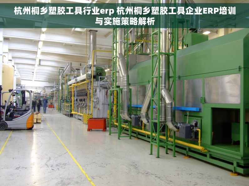杭州桐乡塑胶工具行业erp 杭州桐乡塑胶工具企业ERP培训与实施策略解析