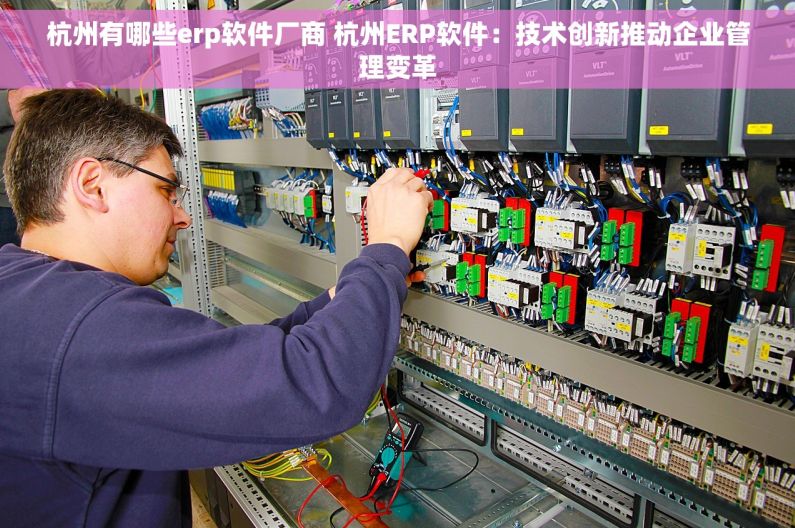 杭州有哪些erp软件厂商 杭州ERP软件：技术创新推动企业管理变革
