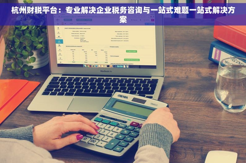 杭州财税平台：专业解决企业税务咨询与一站式难题一站式解决方案