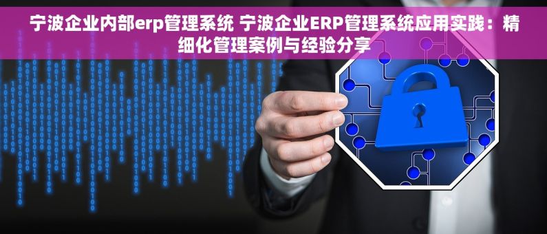 宁波企业内部erp管理系统 宁波企业ERP管理系统应用实践：精细化管理案例与经验分享