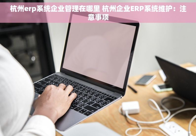 杭州erp系统企业管理在哪里 杭州企业ERP系统维护：注意事项