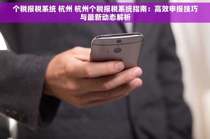 个税报税系统 杭州 杭州个税报税系统指南：高效申报技巧与最新动态解析