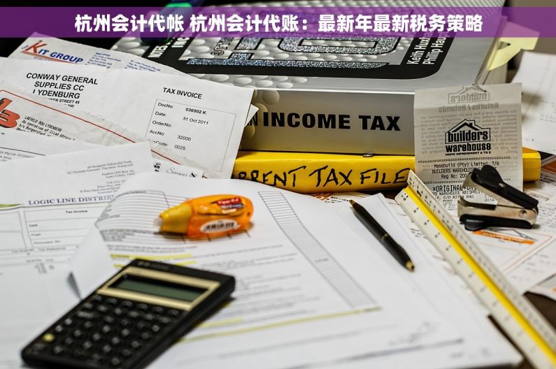 杭州会计代帐 杭州会计代账：最新年最新税务策略