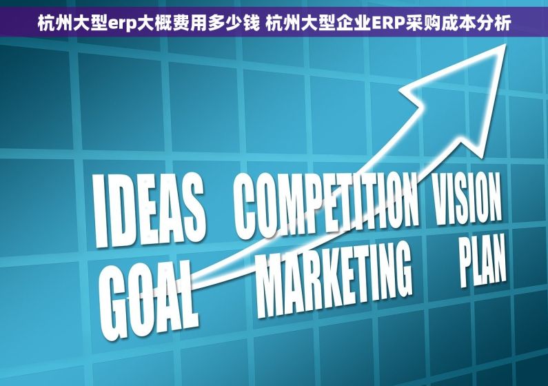 杭州大型erp大概费用多少钱 杭州大型企业ERP采购成本分析