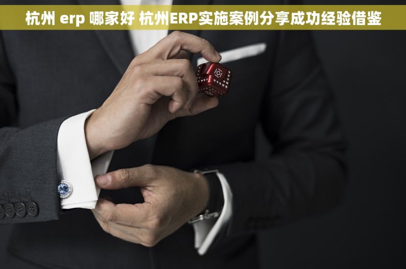 杭州 erp 哪家好 杭州ERP实施案例分享成功经验借鉴