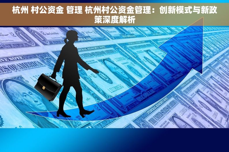 杭州 村公资金 管理 杭州村公资金管理：创新模式与新政策深度解析