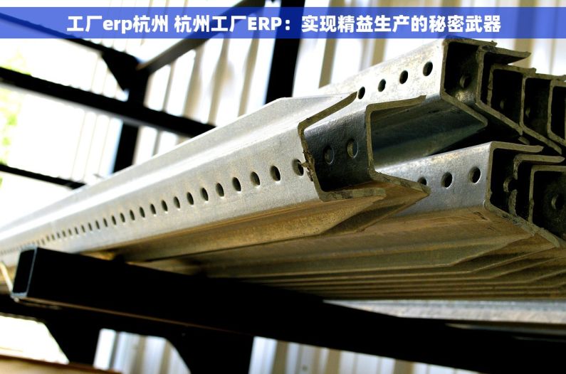 工厂erp杭州 杭州工厂ERP：实现精益生产的秘密武器