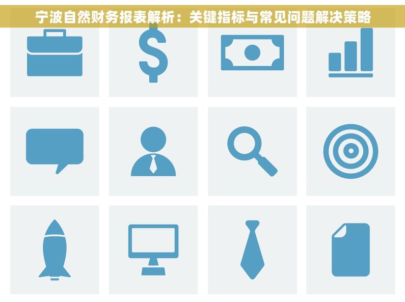 宁波自然财务报表解析：关键指标与常见问题解决策略