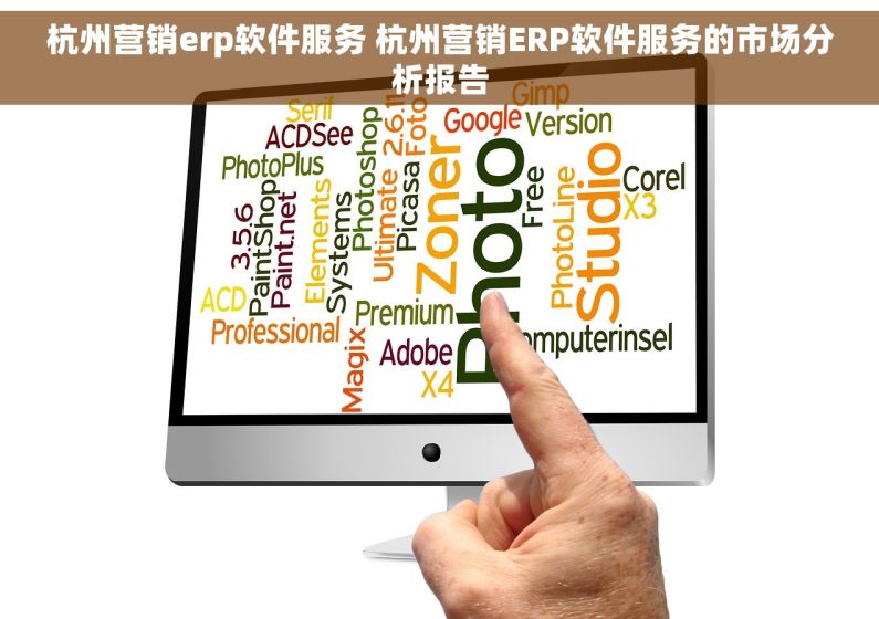 杭州营销erp软件服务 杭州营销ERP软件服务的市场分析报告