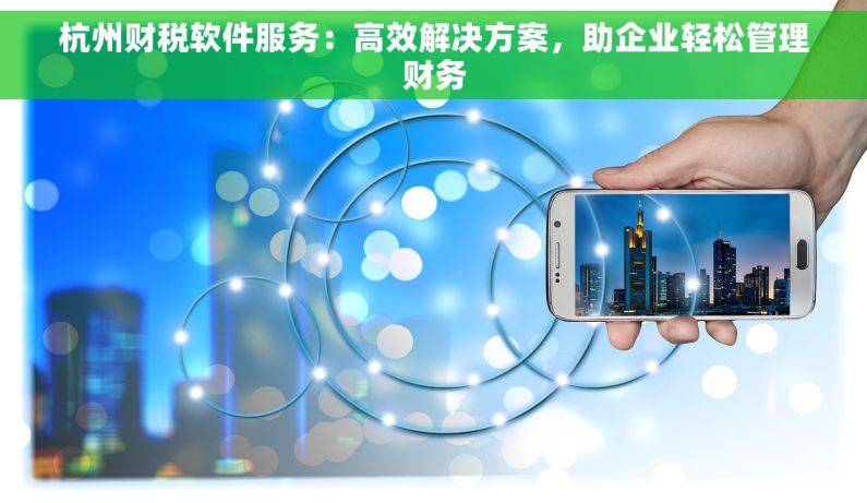 杭州财税软件服务：高效解决方案，助企业轻松管理财务