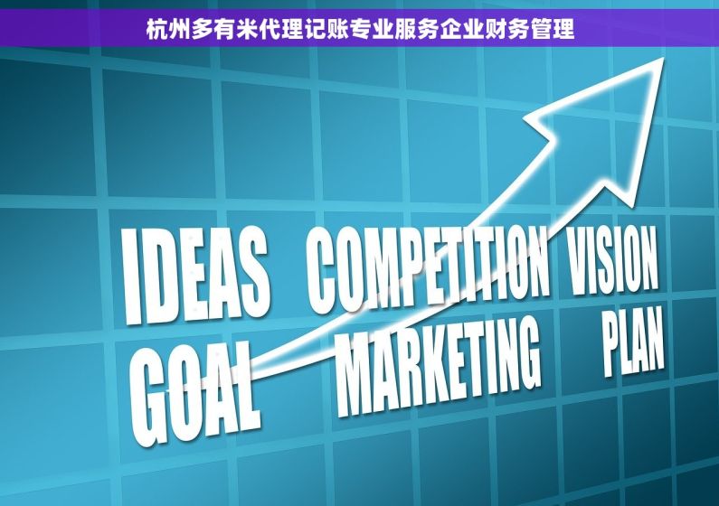 杭州多有米代理记账专业服务企业财务管理