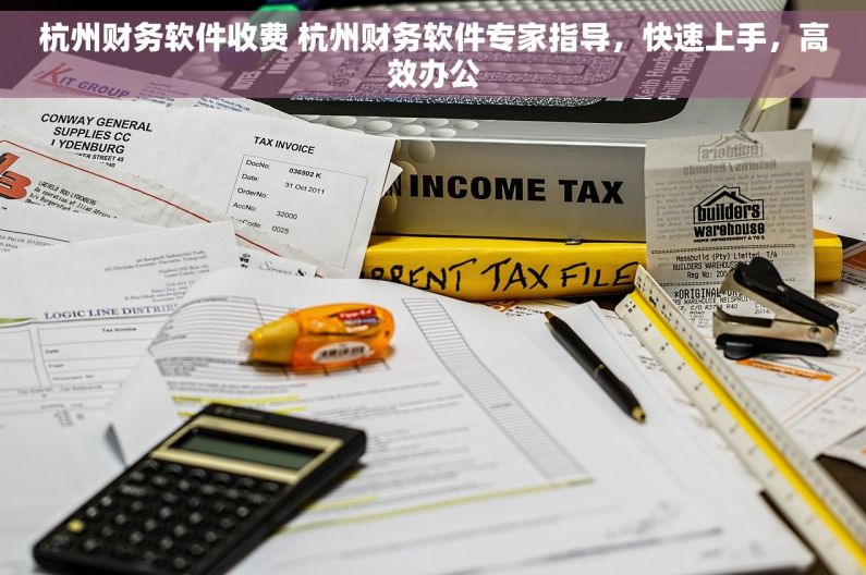 杭州财务软件收费 杭州财务软件专家指导，快速上手，高效办公