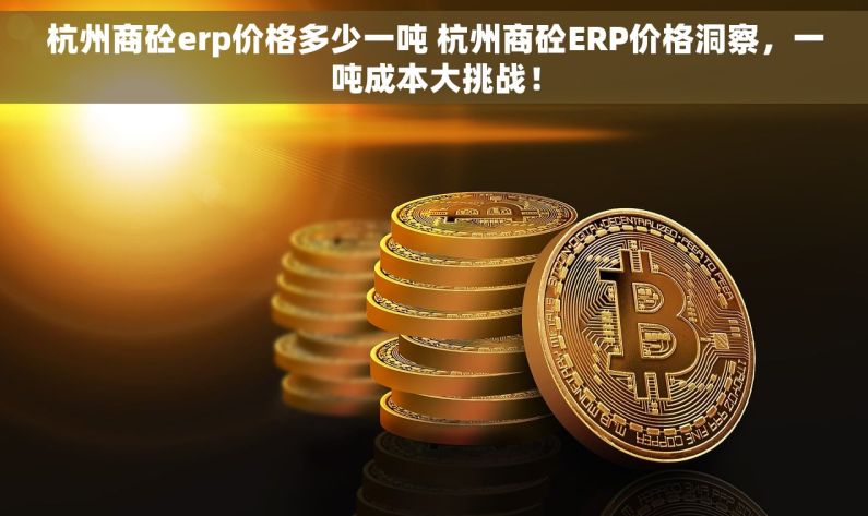 杭州商砼erp价格多少一吨 杭州商砼ERP价格洞察，一吨成本大挑战！