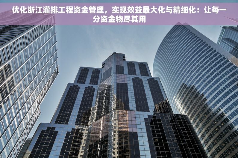 优化浙江灌排工程资金管理，实现效益最大化与精细化：让每一分资金物尽其用