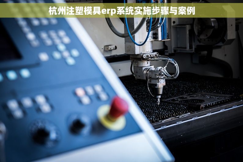 杭州注塑模具erp系统实施步骤与案例