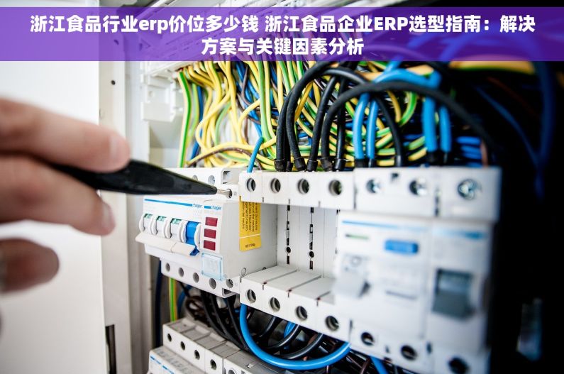 浙江食品行业erp价位多少钱 浙江食品企业ERP选型指南：解决方案与关键因素分析