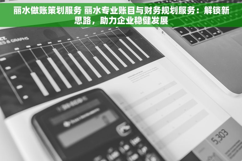 丽水做账策划服务 丽水专业账目与财务规划服务：解锁新思路，助力企业稳健发展