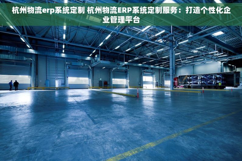 杭州物流erp系统定制 杭州物流ERP系统定制服务：打造个性化企业管理平台