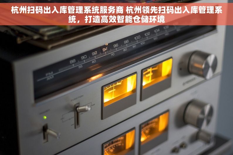 杭州扫码出入库管理系统服务商 杭州领先扫码出入库管理系统，打造高效智能仓储环境