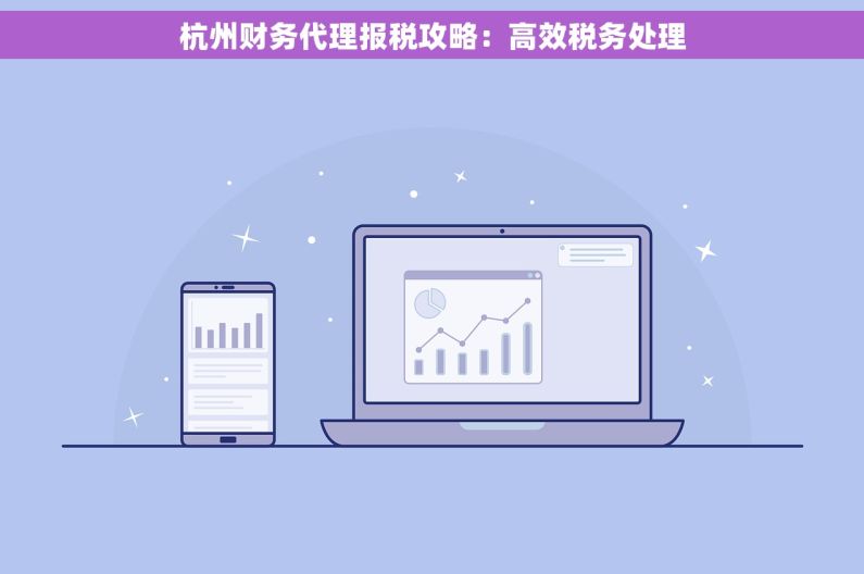 杭州财务代理报税攻略：高效税务处理