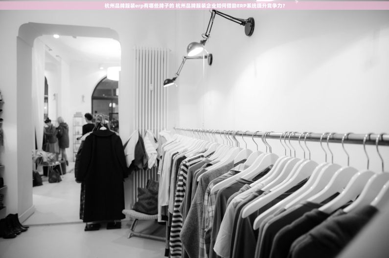 杭州品牌服装erp有哪些牌子的 杭州品牌服装企业如何借助ERP系统提升竞争力？
