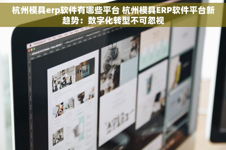 杭州模具erp软件有哪些平台 杭州模具ERP软件平台新趋势：数字化转型不可忽视