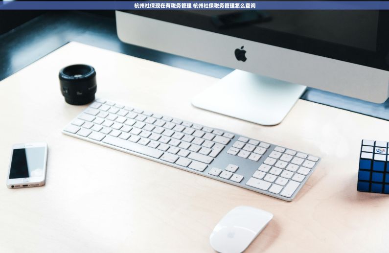 杭州社保现在有税务管理 杭州社保税务管理怎么查询