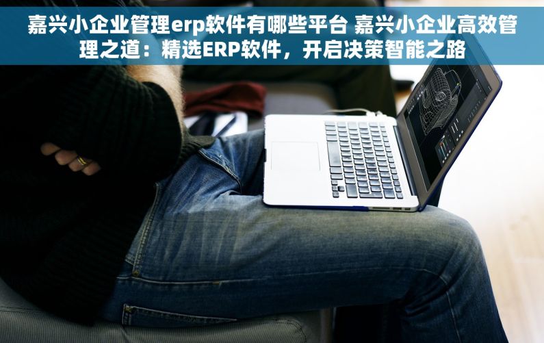 嘉兴小企业管理erp软件有哪些平台 嘉兴小企业高效管理之道：精选ERP软件，开启决策智能之路