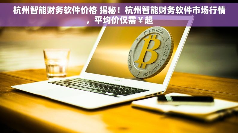 杭州智能财务软件价格 揭秘！杭州智能财务软件市场行情，平均价仅需￥起
