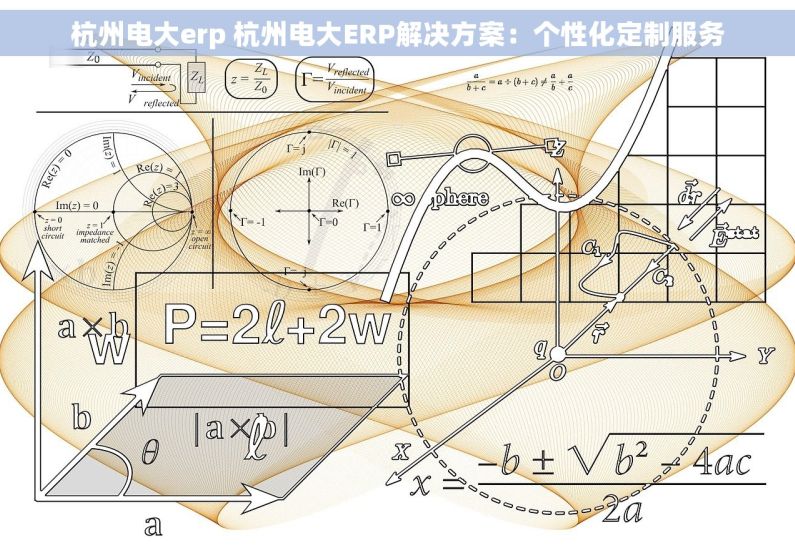 杭州电大erp 杭州电大ERP解决方案：个性化定制服务